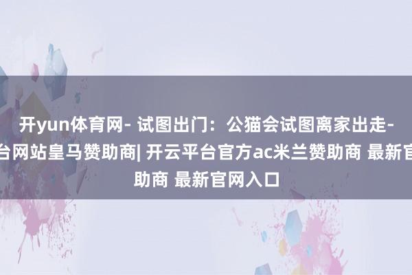 开yun体育网- 试图出门：公猫会试图离家出走-开云平台网站皇马赞助商| 开云平台官方ac米兰赞助商 最新官网入口
