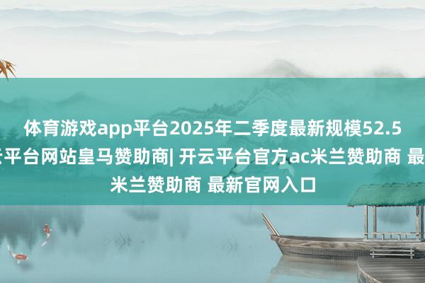体育游戏app平台2025年二季度最新规模52.51亿元-开云平台网站皇马赞助商| 开云平台官方ac米兰赞助商 最新官网入口